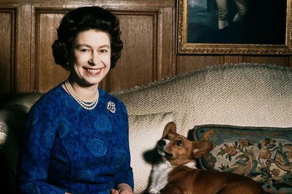 Muick y Sandy, los corgis de la reina Isabel II ¡ya fueron adoptados!