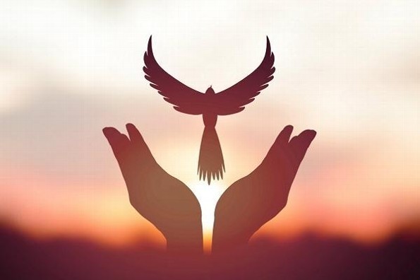 Hoy es el Día Internacional de la Paz