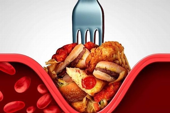 14 Datos clave que debes conocer sobre el colesterol