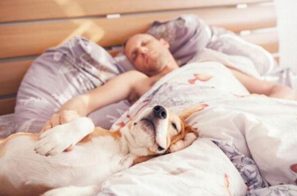 Significado de soñar con un perro