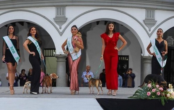 Realiza Miss Earth Veracruz tierna pasarela de adopción (+fotos)