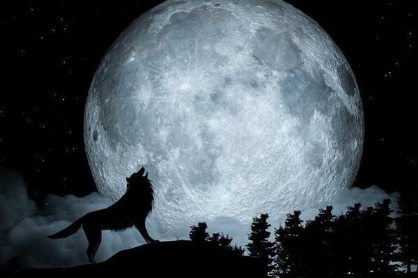 Habrá luna llena de Lobo 2023... ¿Cuándo, dónde y cómo verla?