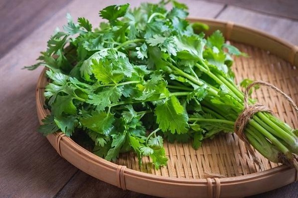 ¿Te gusta el cilantro? Conoce sus maravillosos beneficios