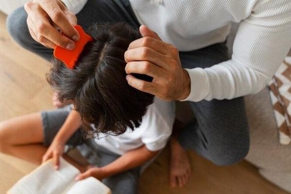 ¿Cómo tratar la presencia de piojos y liendres? 