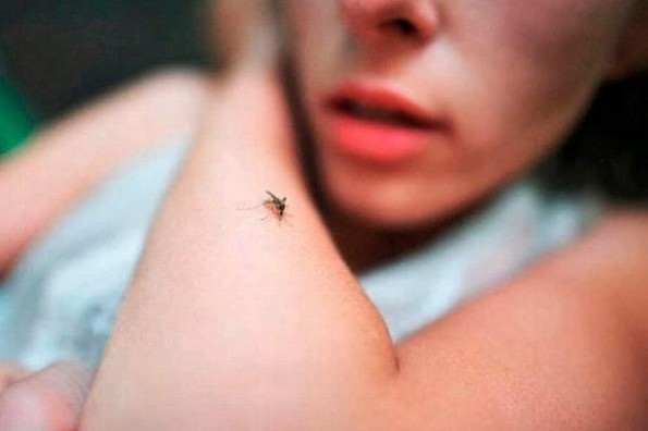 ¡Cuida tu salud! Lo que debes saber sobre el paludismo