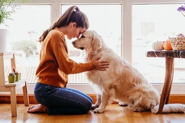 ¿Qué mascotas son útiles para las terapias y sentirse mejor?