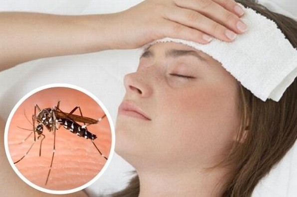 ¡Cuida tu salud! Síntomas del dengue y qué hacer para evitarlo ¡Cuida tu salud! Síntomas del dengue y qué hacer para evitarlo
