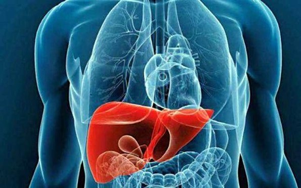 Automedicación y tratamientos herbolarios pueden causar insuficiencia hepática aguda Automedicación y tratamientos herbolarios pueden causar insuficiencia hepática aguda