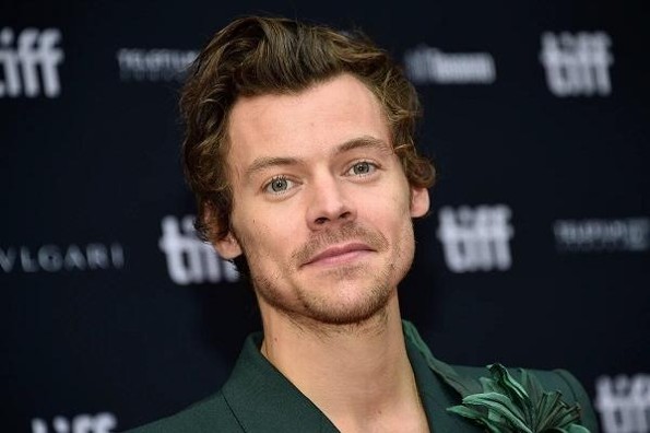 Mujer va a la cárcel por acosar a Harry Styles