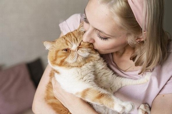 Advierten de enfermedades transmitidas por mascotas