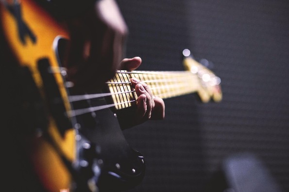 Día del Músico Día del Músico
