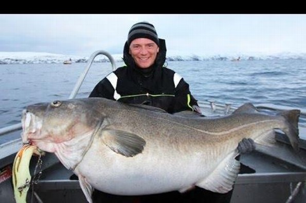 Conoce al famoso bacalao, plato navideño por excelencia