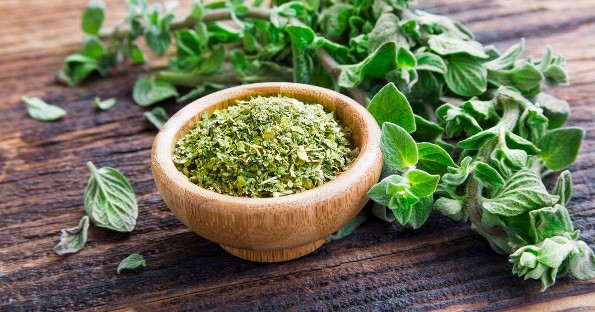 ¡Conocías las propiedades medicinales del orégano? ¿Aquí te las decimos! 