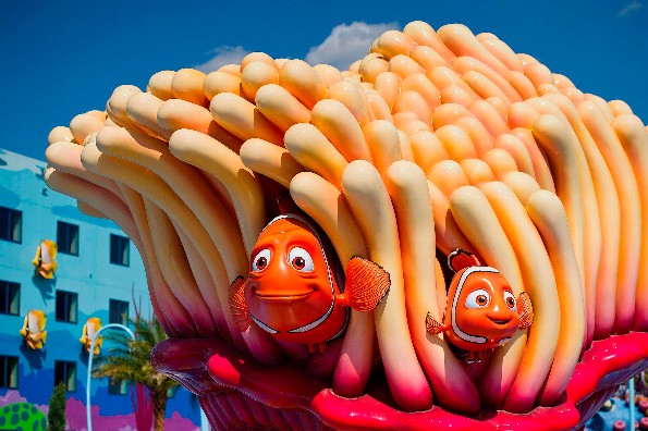 ¡Conoce datos sorprendentes de las anémonas la casa de Nemo!