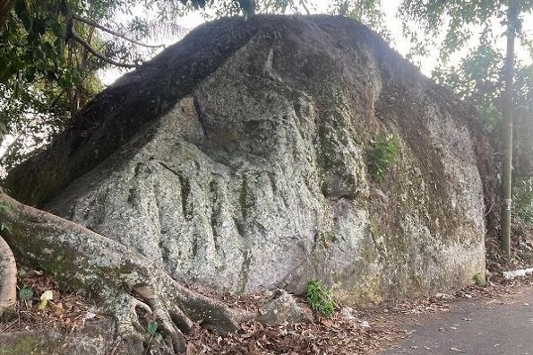 Historia de la enigmática piedra gigante del zopilote en Córdoba, Veracruz (+fotos)