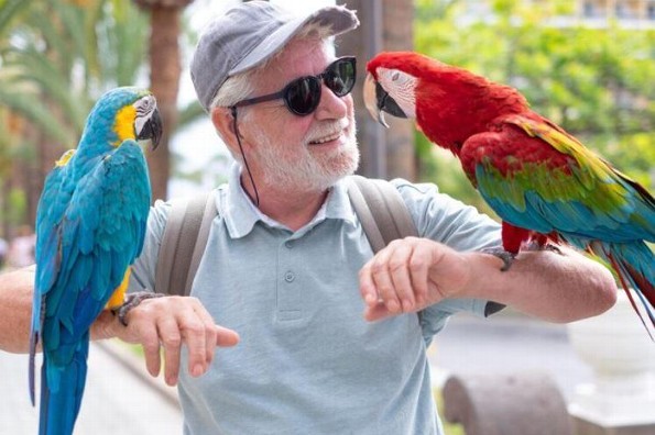¡Te mostramos las mascotas ideales para personas de la tercera edad!