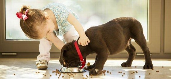 ¡Cuidado! mascotas no aptas para niños ¡Aquí te decimos cuales son! 