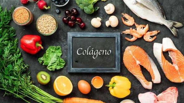 ¿Sabes cuáles son los alimentos ricos en colágeno? ¡Aquí te lo decimos! 