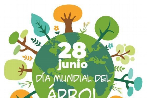 28 de junio día internacional del árbol seres importantes para la vida en este planeta