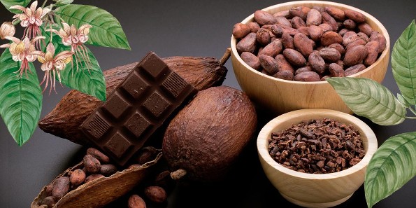 ¿Sabías que hay un Día Internacional del Cacao y Chocolate?