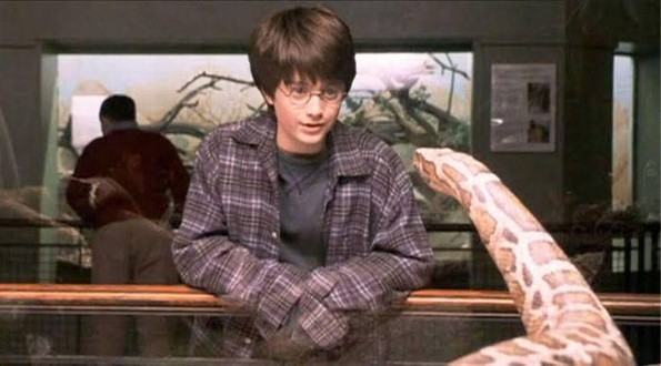 ¿Sabes cuál es la lengua de las serpientes?