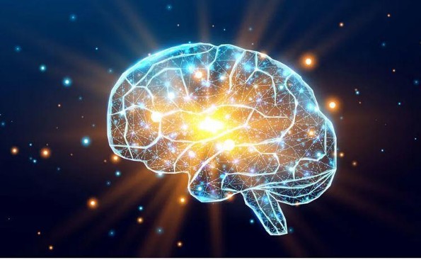 ¿Sabías el cerebro es tan importante que tiene su día mundial?