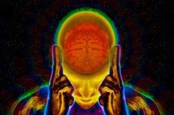 ¿Qué es lo que realmente enferma? 