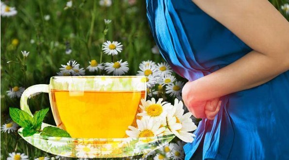 Manzanilla para la digestión y el alivio del estrés: ¡Descubre sus secretos!