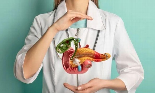 Páncreas saludable, vida plena: Consejos clave para su bienestar