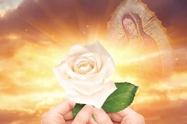 La Rosa de Guadalupe cumple 19 años al aire