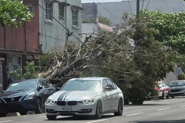 ¡La radio sí se escucha! Nortazo en Veracruz tira árboles, estructuras, la luz e Internet