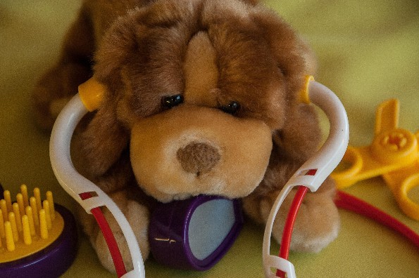 ¿Sabías que este día se celebra el Día Mundial del Veterinario?