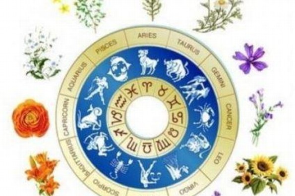 ¿Qué flores regalar según el signo zodiacal?