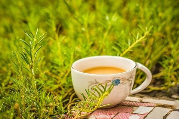 Té de romero: Te sorprenderás de sus beneficios 
