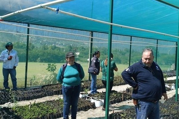 Constellation Brands impulsa histórica alianza para proteger el Pico de Orizaba y garantizar agua para Veracruz