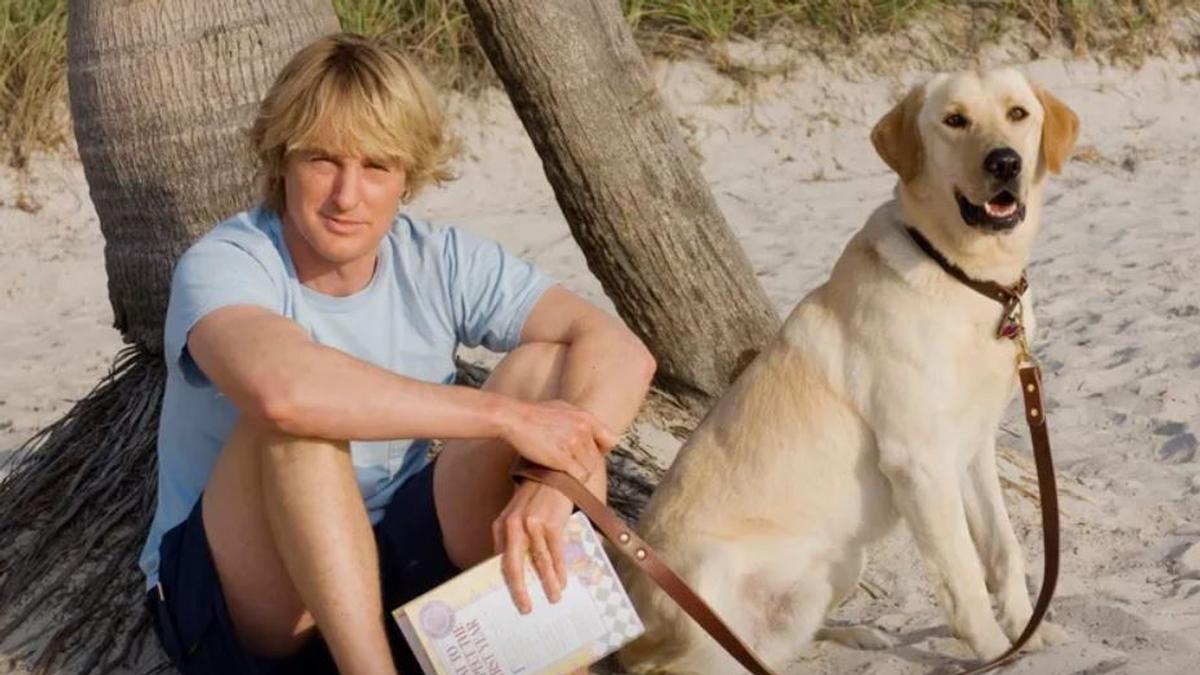 Marley y yo: una historia que celebra el amor incondicional de los perros